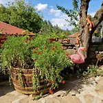 зелената долина Гостевой дом