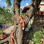 Гостевой дом зелената долина Dulbok Dol